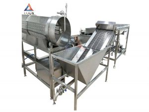 Quail egg boiling & peeling process line