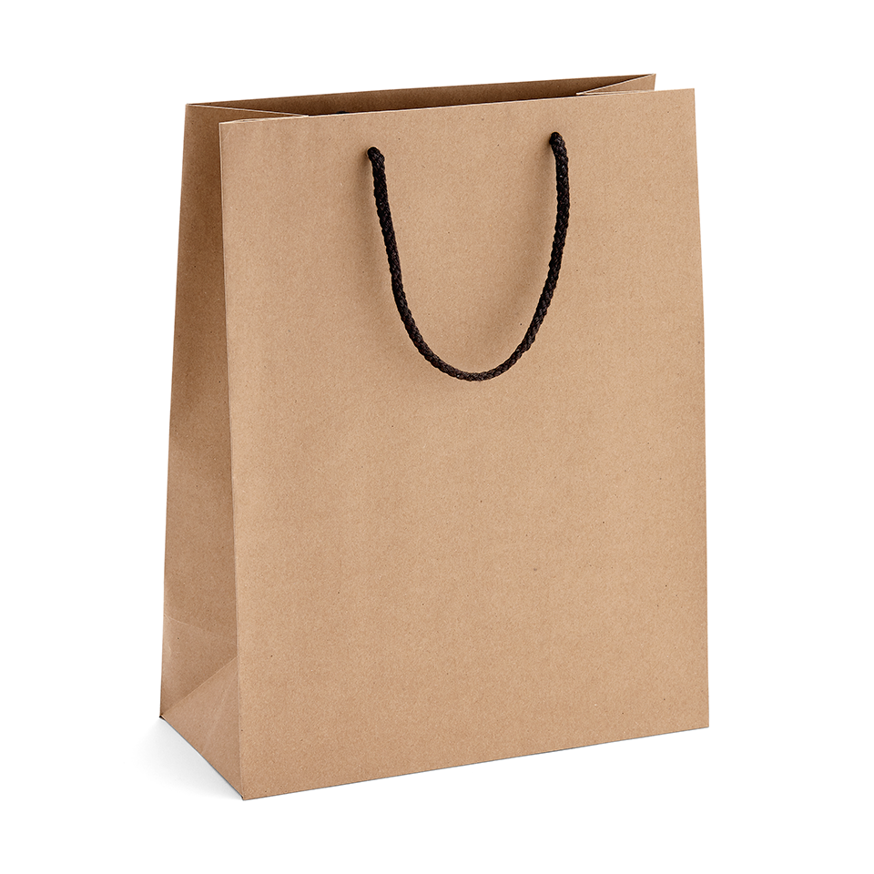 Medium Portrait – Brown Kraft Rope Handle Stock Bags