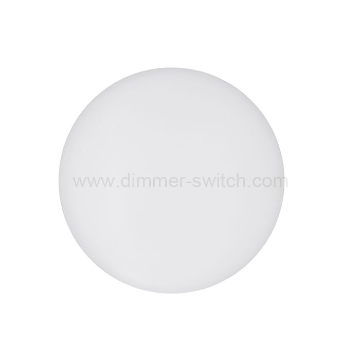 Ceiling Light LEDCL01