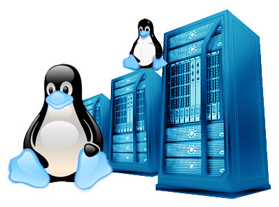 Best Linux Reseller Hosting Plan in India with Cpanel