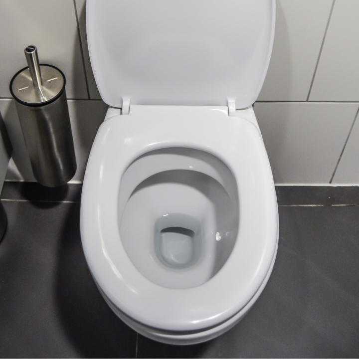 Toilet repairs