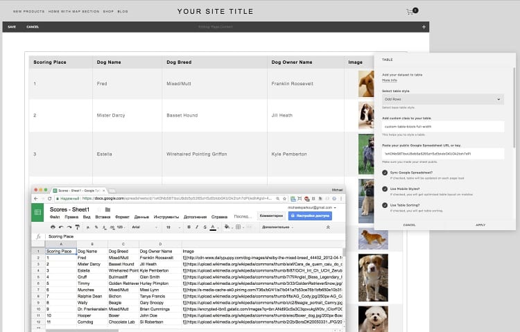 Programvare webside redigering