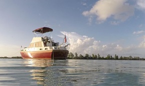 HONU CHARTERS