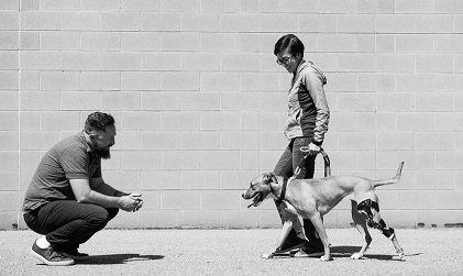 Custom Made Orthotic and Prosthetic Devices for Pets