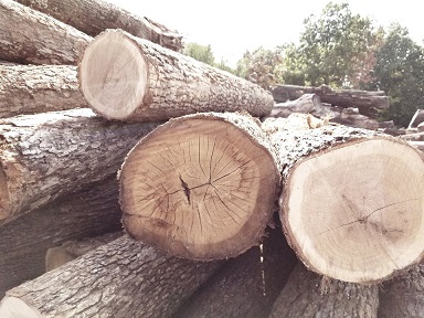 CLANCY'S CUSTOM HARDWOOD AND TREE SERVICE