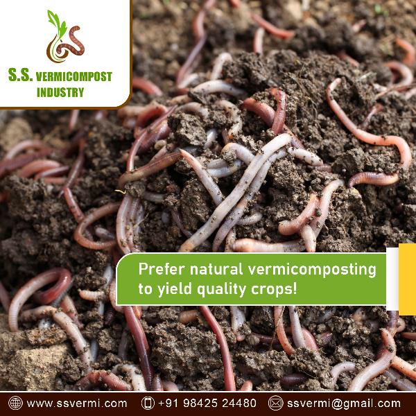 Vermicompost in Tamilnadu - Best Manufacturers, Suppliers