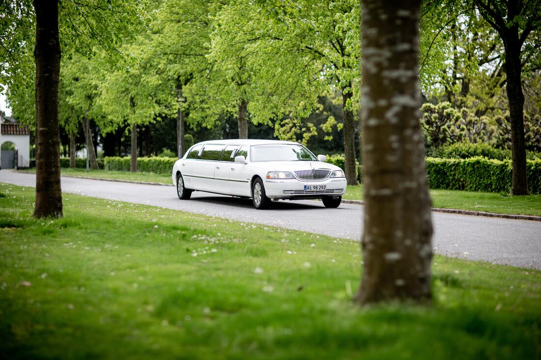Limo Rental