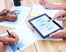 Sustainability Consulting