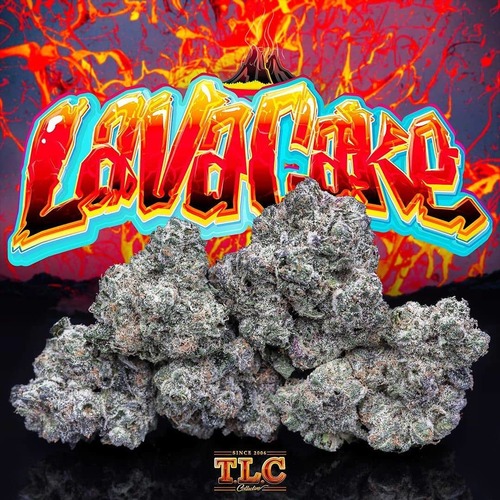 Lava Cake Jungle Boys