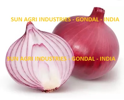 Onion