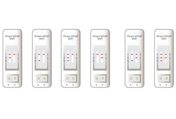 Dengue Test Kit