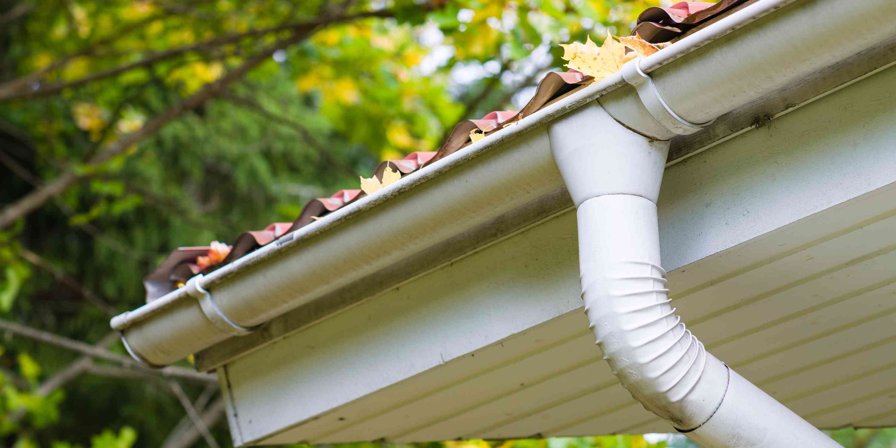 Roof Bedding and Pointing
