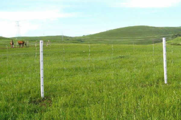 SQUARE KNOTS FIELD FENCES