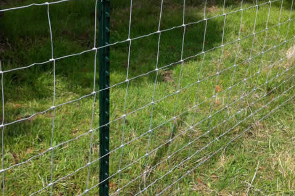 CATTLE FENCE