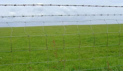PERIMETER FENCE