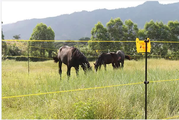 ELECTRIC WIRE FENCE