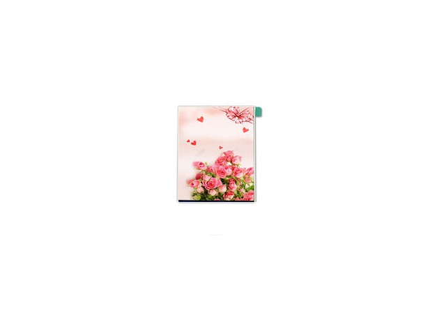 액정 디스플레이 (LCD)