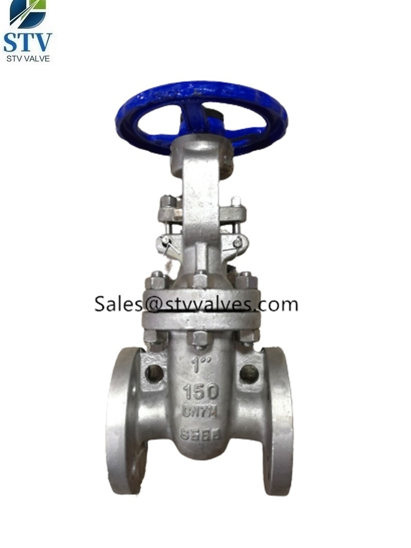 150LB CN7M Gate Valve, 1 Inch, Flanged End