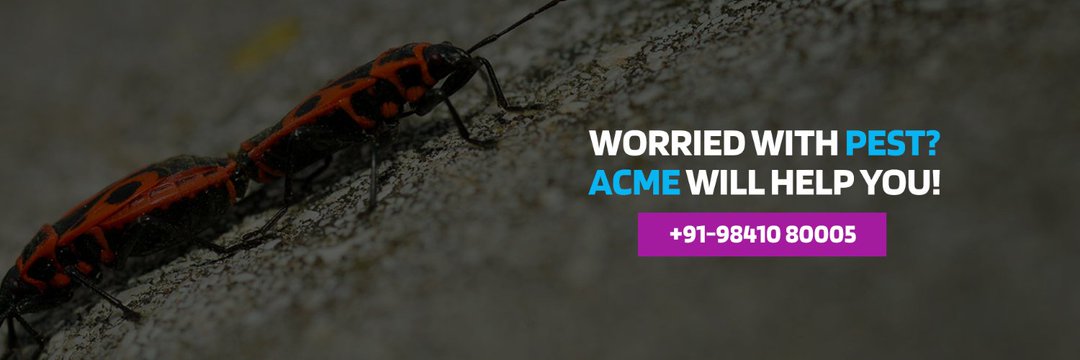 Pest Control, սպասարկում