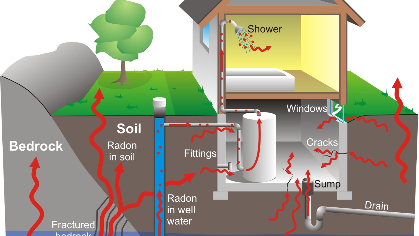 What You Need to Know About a Radon Mitigation System