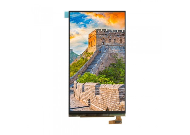 液晶显示器（LCD）